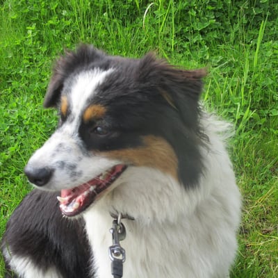 10mai2024 profil