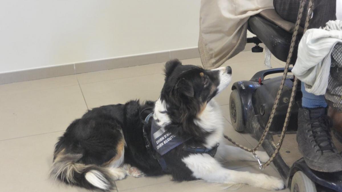 9nov21 gouter aines 9209695