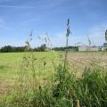 Img 6731