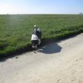 Img 8341
