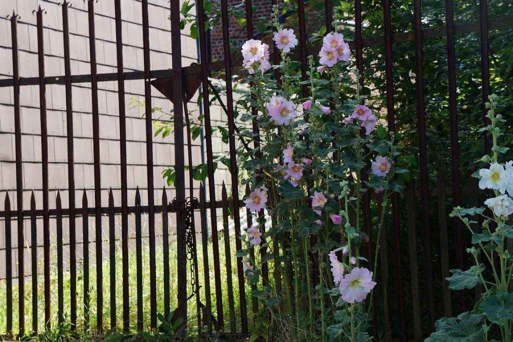 Rosestremieres